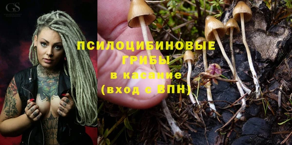 синтетический гашиш Каменск-Шахтинский