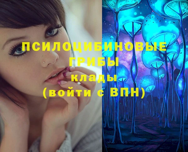 Альфа ПВП Каменногорск