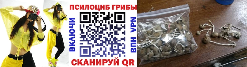 это Telegram Северск Псилоцибиновые грибы прущие грибы дарнет шоп