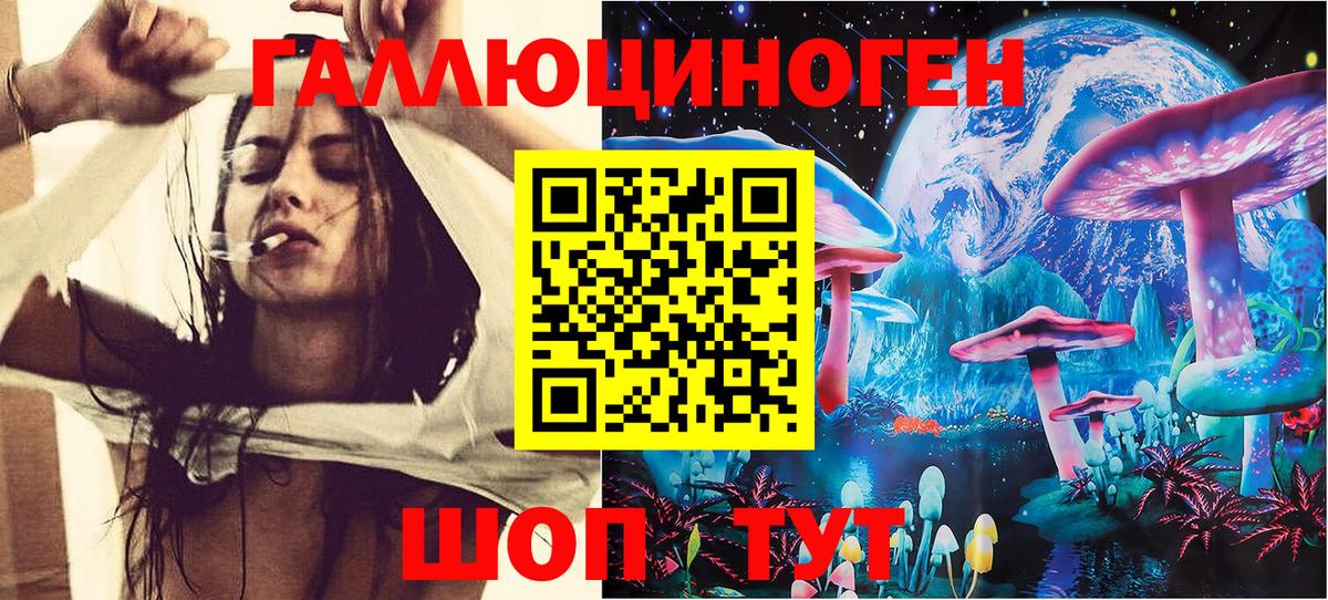 Псилоцибиновые грибы прущие грибы Северск