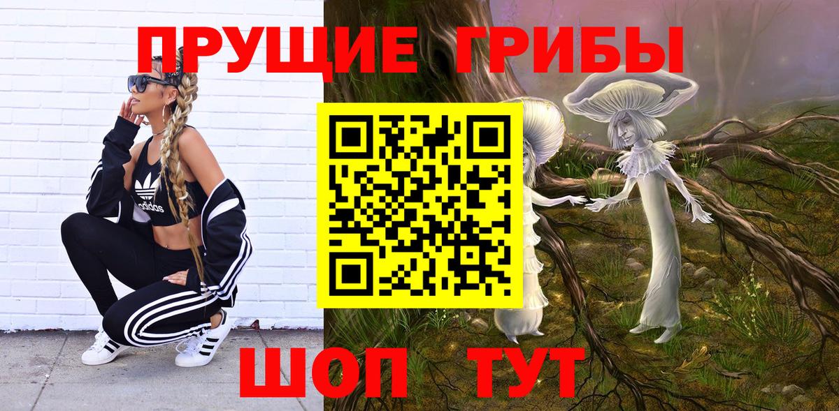 Галлюциногенные грибы Psilocybe  Северск 