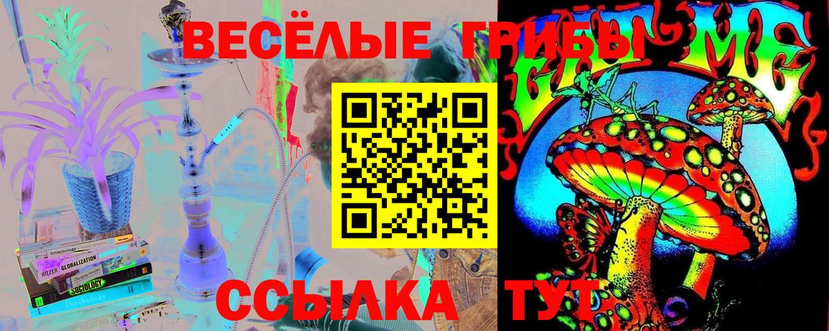 Галлюциногенные грибы Magic Shrooms Северск