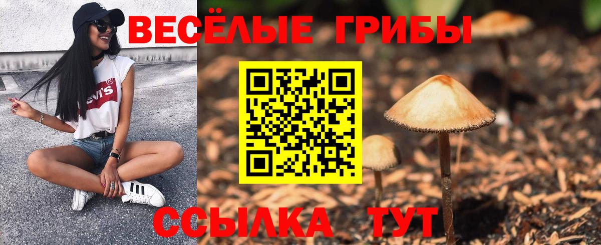 Псилоцибиновые грибы Psilocybine cubensis  Вход с VPN  Галлюциногенные грибы мицелий  Северск 